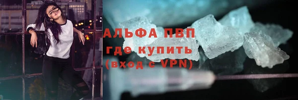 СК Дмитров