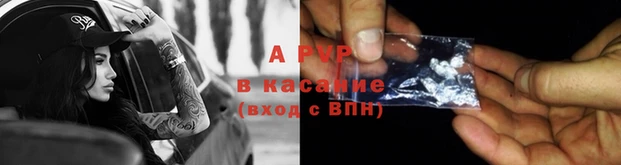 СК Дмитров