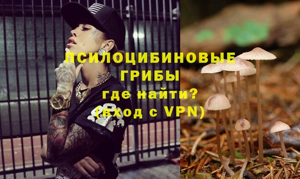 бошки Дмитровск