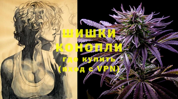 СК Дмитров
