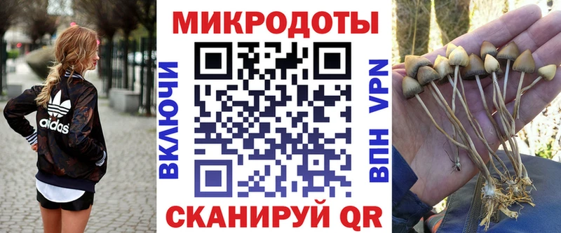 Псилоцибиновые грибы Magic Shrooms  Купить где  Макушино 
