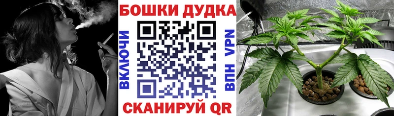 Купить  Макушино  Бошки Шишки OG Kush 